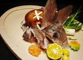 ���E��̓V�R����`���ɂ���